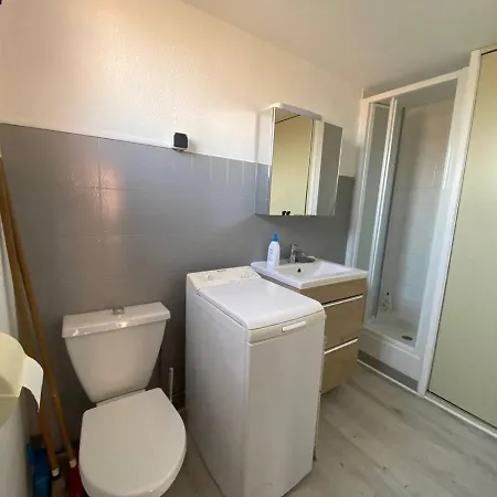 Apartment Avec Mezzanine, 4 Pers, A 250m, Parking Prive, Commerces A Proximite - Fr-1-81-43 *