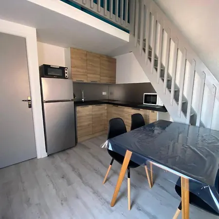 Avec Mezzanine, 4 Pers, A 250m, Parking Prive, Commerces A Proximite - Fr-1-81-43 *